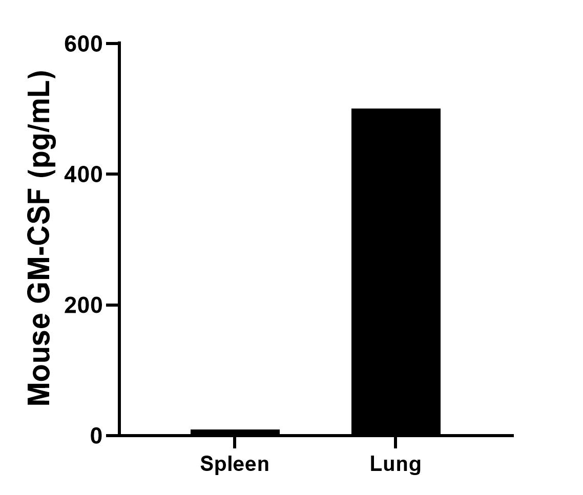  Spleen and lung from one mouse were chopped into 1-2 mm pieces and seeded into approximately 30 mL of media containing RPMI, 10% fetal bovine serum, 50 μM β-mercaptoethanol, and L-glutamine. The mean GM-CSF concentration was determined to be 9.5 pg/mL in spleen supernatant, 500.5 pg/mL in lung supernatant.																																			
											
											
											
